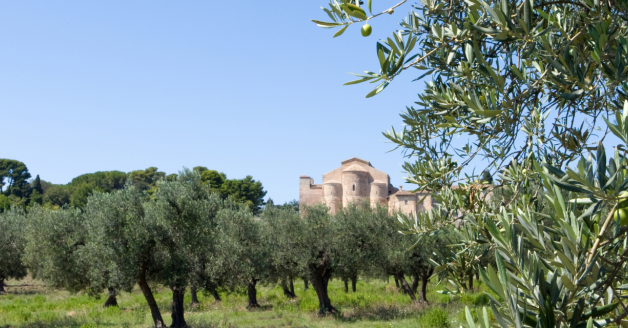 ALLA RISERVA GROTTA DELLE FARFALLE LABORATORI DIDATTICI DI EDUCAZIONE  AMBIENTALE - Virtù Quotidiane - Il quotidiano enogastronomico